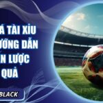 Khám phá tài xỉu 2 trái: hướng dẫn và chiến lược hiệu quả